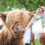 The Royal Highland Show is back: we find out what's new for 2022