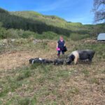 Scotland's Larder: Amanda Coates of The Wee Pig Company, Oban