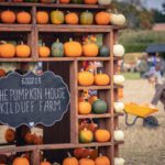 Kilduff Pumpkin Festival 2022: Dates, ticket prices and what to expect