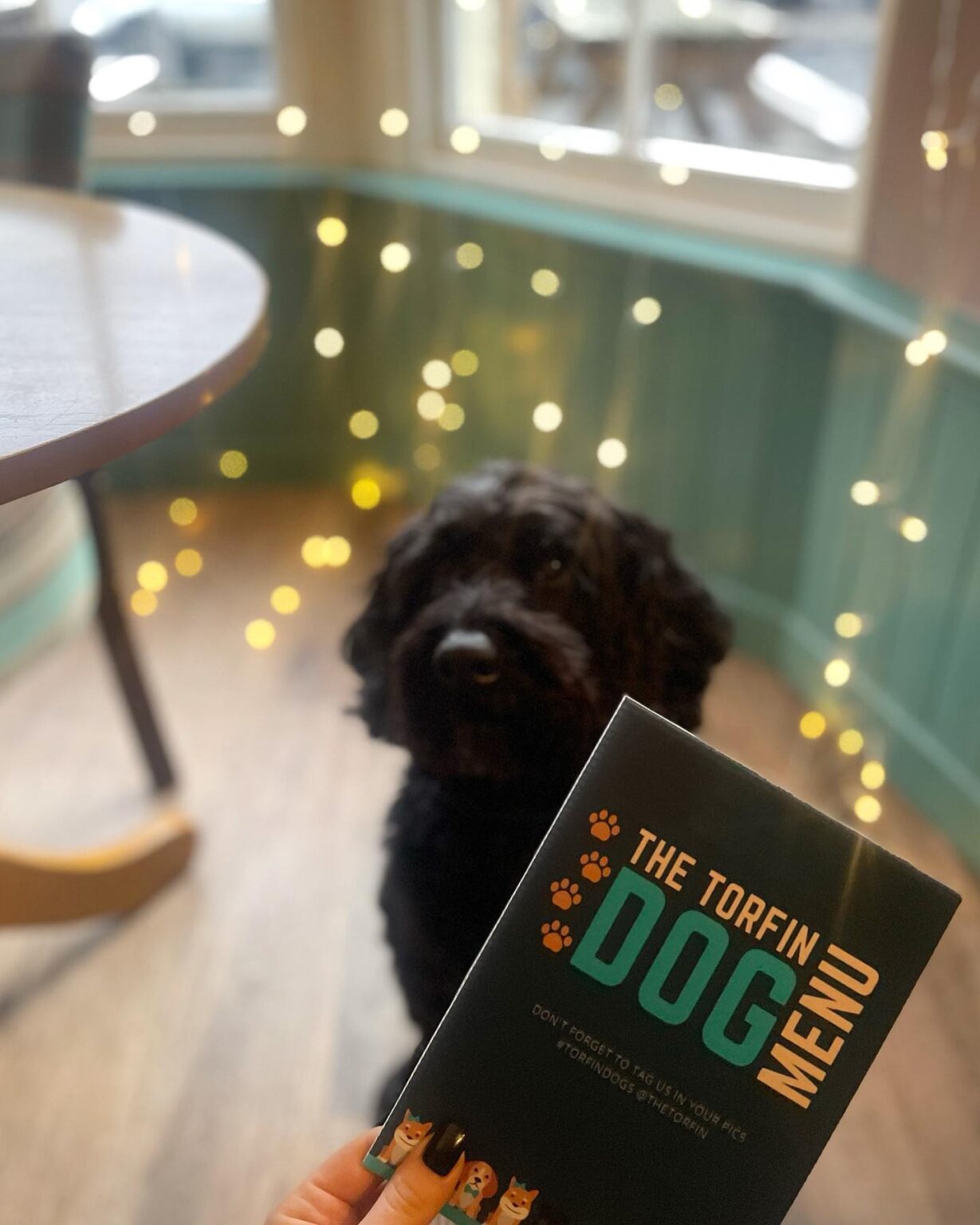 16 of the best dogfriendly restaurants in Edinburgh Scotsman Food and Drink