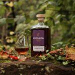 24 newly released whiskies to enjoy this autumn and winter - from The Macallan to Laphroiag