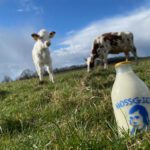 Scran season 7: The changing nature of Scotland's dairy industry