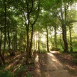 The enchanted outdoor dining spot in stunning Scottish estate that's 'like Alice in Wonderland' 