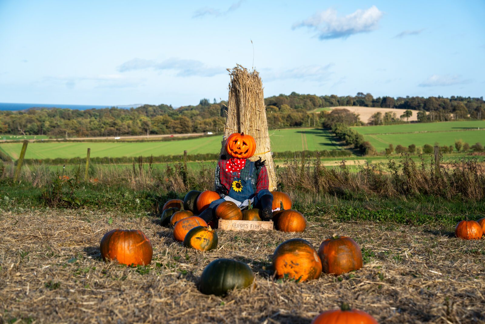 The scenic Scottish farm that’s the ‘ultimate destination for Halloween’ with haunted harvest maze, barrel ghost train and pumpkin festival