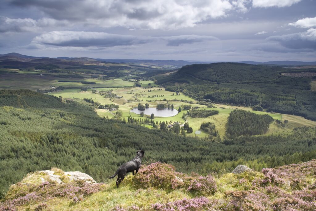 bothy dining Scotland