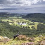 The idyllic Highland bothy with stunning valley views that’s Scotland’s ‘prettiest dining venue’  