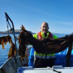 Scran season 8: The Scottish seaweed boom - and how to eat this ‘local superfood’