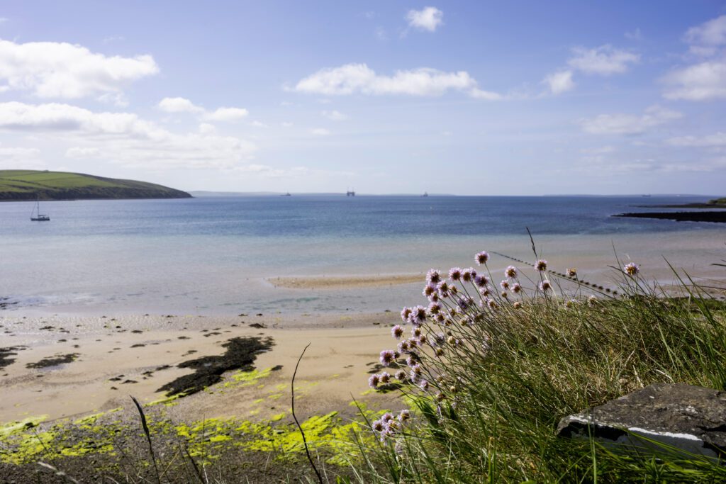 Orkney Nature Scapa Sanctuary Trails Whisky