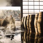 Spirit of Speyside Whisky Festival launches 2026 event preview ahead of tickets going on sale
